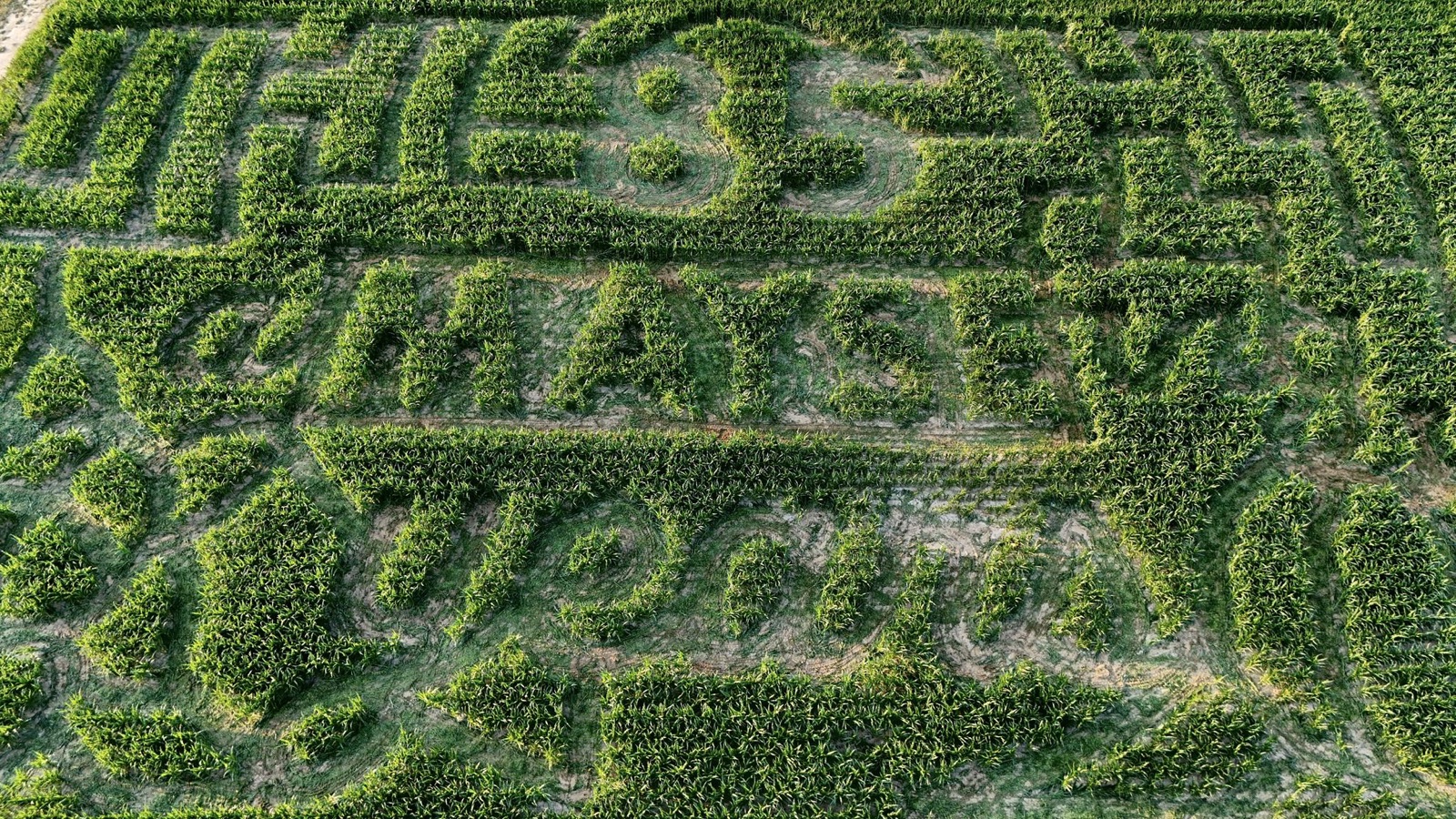 Aerial view of the corn maze celebrating 85 years