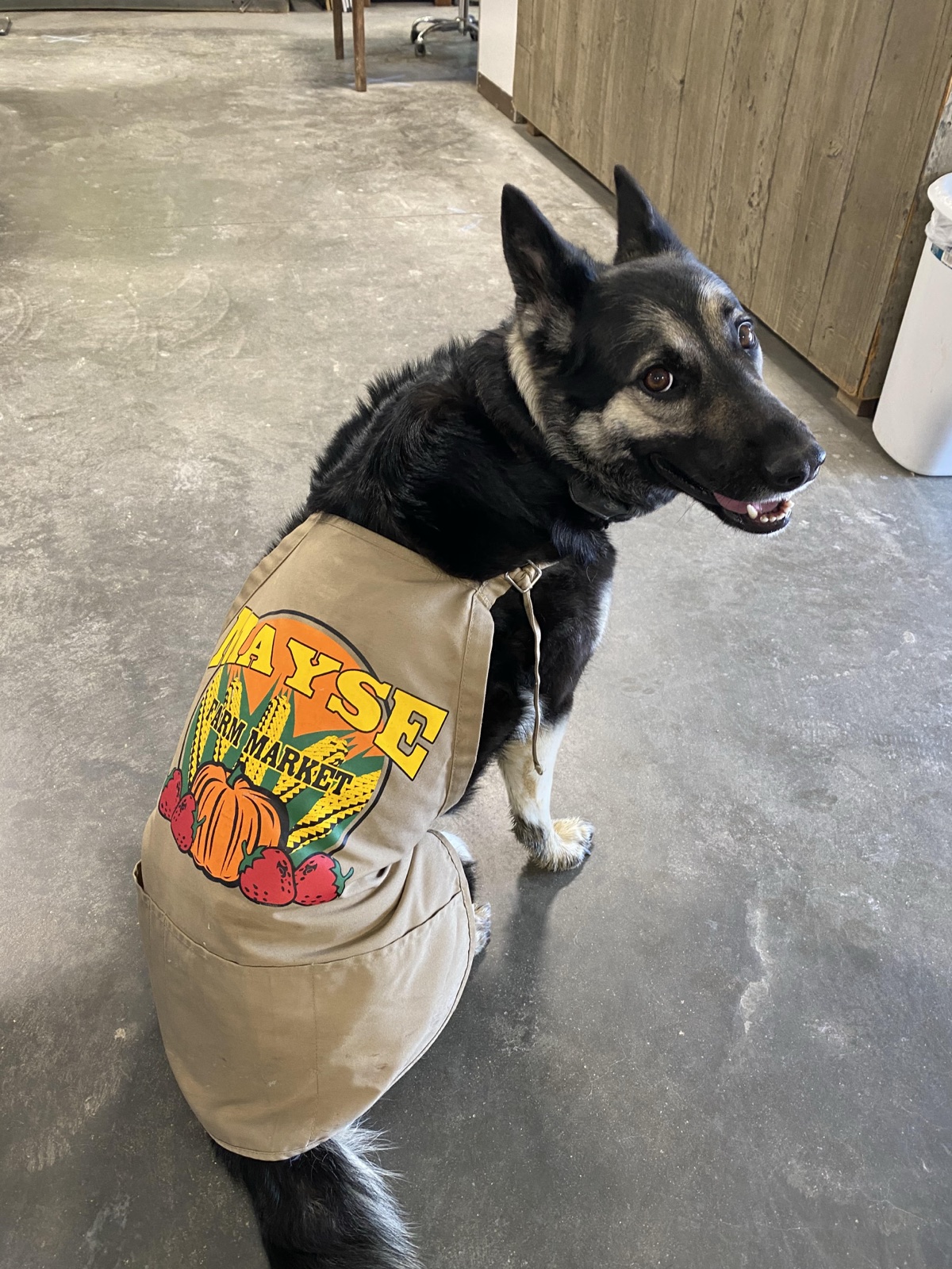 Libby wearing a farm apron
